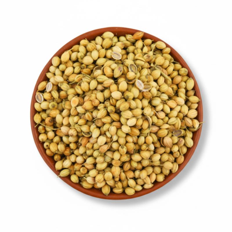 Coriander (Dhonia)